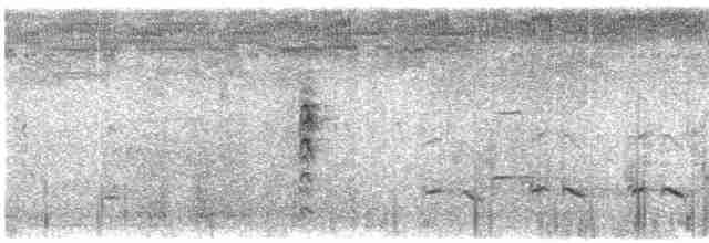 灰胸秧雞 - ML613677579