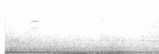 Kara Göğüslü Mavi Karga - ML613678496