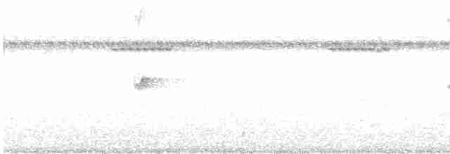 Kara Tepeli Küçük Tiran - ML613680659