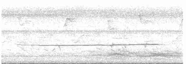 Пестрокрылая йора - ML613681341
