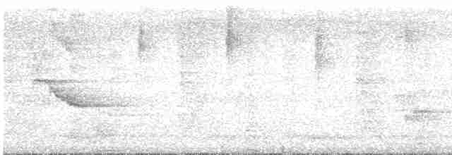 Hint Küpeli Çiğdecisi - ML613681524
