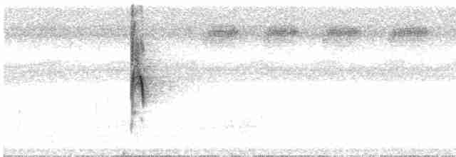 Короткоклювый тенелюб - ML613681995