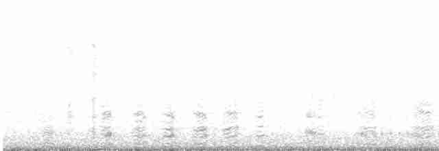 Great Cormorant - ML613683851