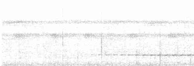 Schwarzkopf-Ameisendrossel - ML613684119