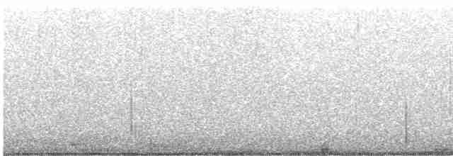 Beyaz Gerdanlı Tovi - ML613684568