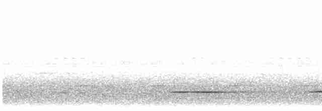 Brown Tinamou - ML613685549