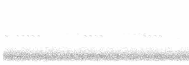 Gray Tinamou - ML613686781