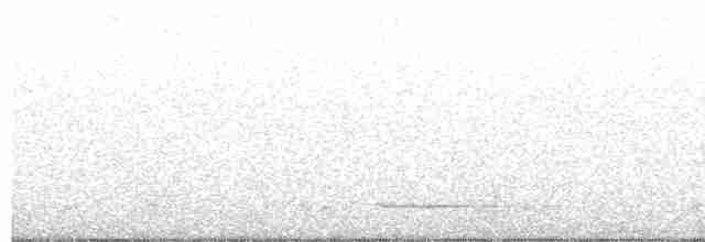 Сичик-горобець євразійський - ML613687659
