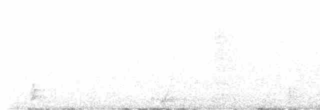 Конота товстодзьоба - ML613689987