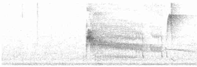 Мурав’янка-куцохвіст велика - ML613690686