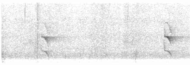 White-flanked Antwren - ML613690750