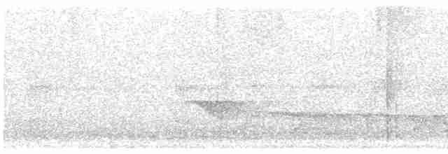 White-flanked Antwren - ML613690751
