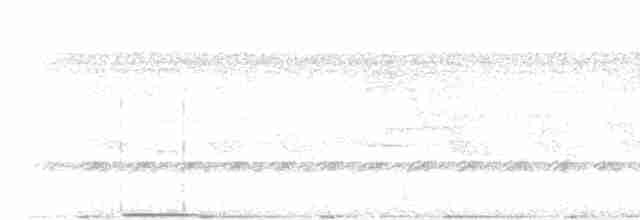 Lacivert Tangara - ML613690900