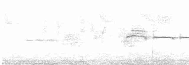 Northern Beardless-Tyrannulet - ML613690969