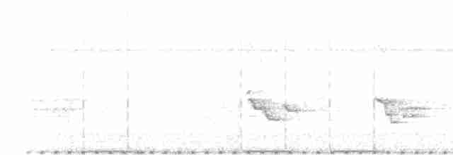 Black-billed Thrush - ML613691230