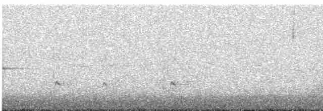 Большой пиви - ML613692106