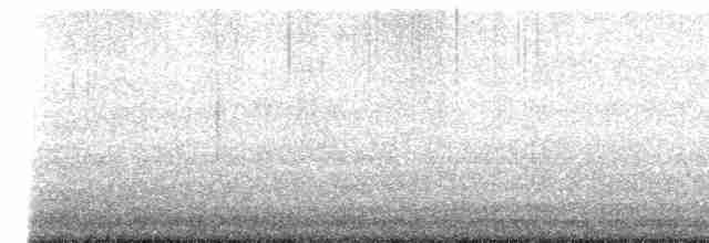 Pine Warbler - ML613692928