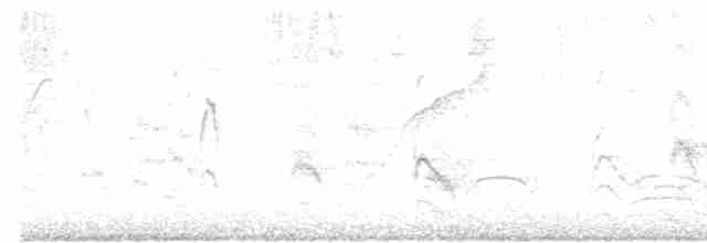 Крячок амазонський - ML613694876