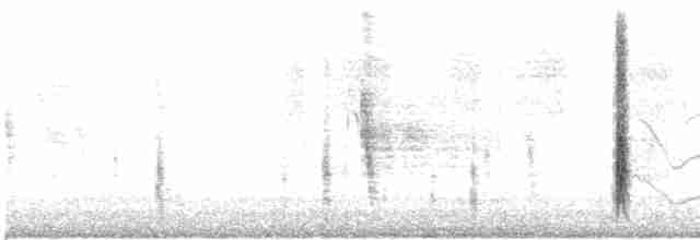 vlhovec velkoocasý - ML613695279