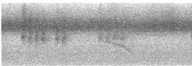 Аляпі плямистокрилий - ML613696085