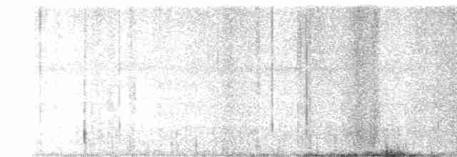 Мангровый виреон - ML613696710