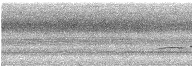 Güneyli Kestanerengi Karıncakuşu - ML613703928