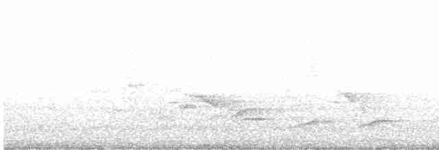 Fork-tailed Sunbird - ML613705122