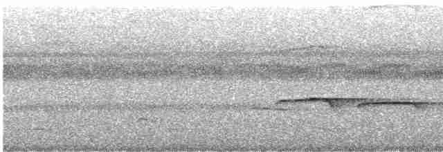 Kordiyera Azul Karıncakuşu - ML613705194