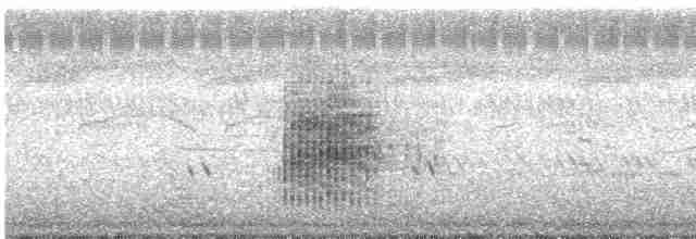 Clamorous Reed Warbler - ML613706915