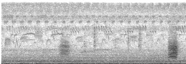 Clamorous Reed Warbler - ML613706917