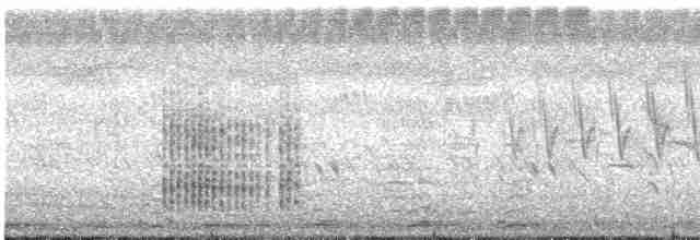 Clamorous Reed Warbler - ML613706923