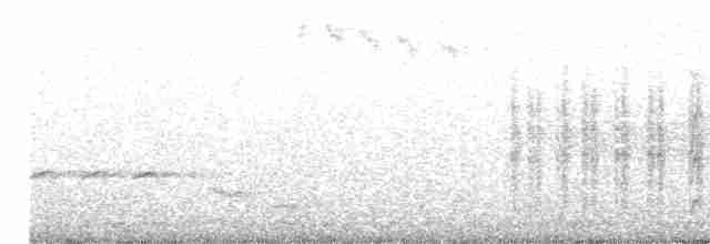 Белогорлая ложнопищуха - ML613712453