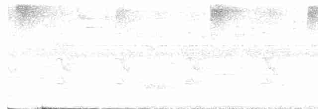 Channel-billed Toucan - ML613714897