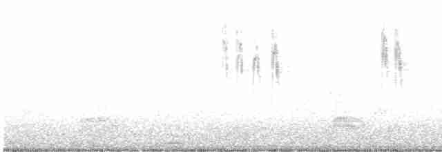 נחליאלי לבן (לבן-פנים) - ML613716023