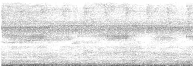 Чачалака цяткована (підвид remota) - ML613716205