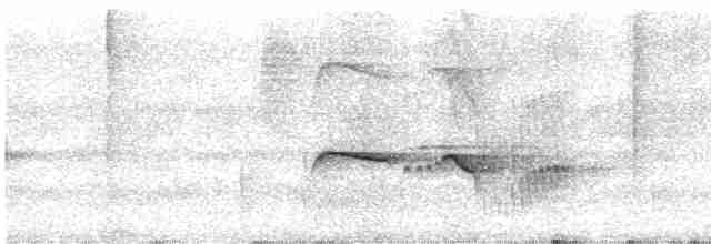 Atlantik Karınca Tiranı - ML613716231