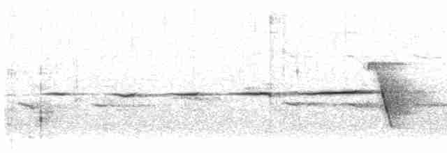 Mangrove Whistler - ML613719267