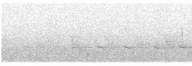 Mangrove Whistler - ML613719268