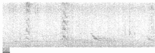 Kahverengi Gerdanlı Papağan - ML613721130