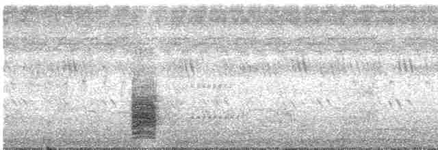 Clamorous Reed Warbler - ML613721378