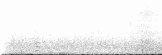 Kara Boyunlu Kuğu - ML613723496