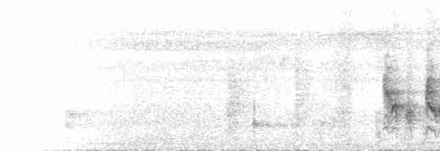 Окулярник малокейський - ML613723991