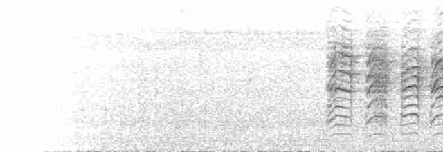 Окулярник малокейський - ML613723994