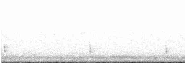 Hermit Thrush - ML613724024