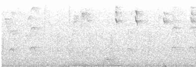 Percefleur masqué - ML613724729