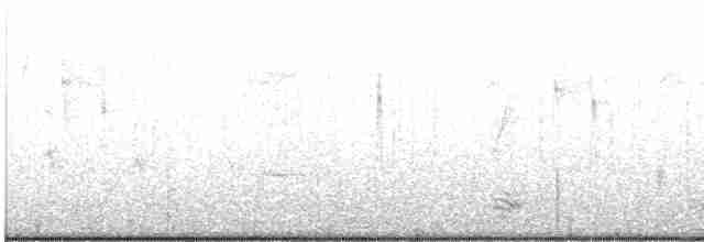 Double-crested Cormorant - ML613725169