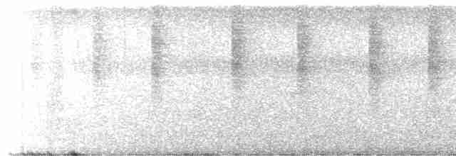 Синехвостая амазилия - ML613725655