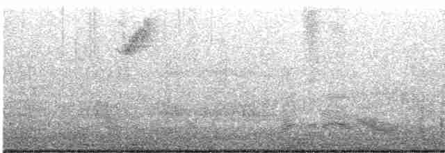 Beyaz Gerdanlı Tovi - ML613728510