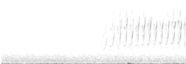 Sivri Gagalı Sepetören - ML613729614