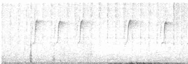 Fork-tailed Sunbird - ML613732636